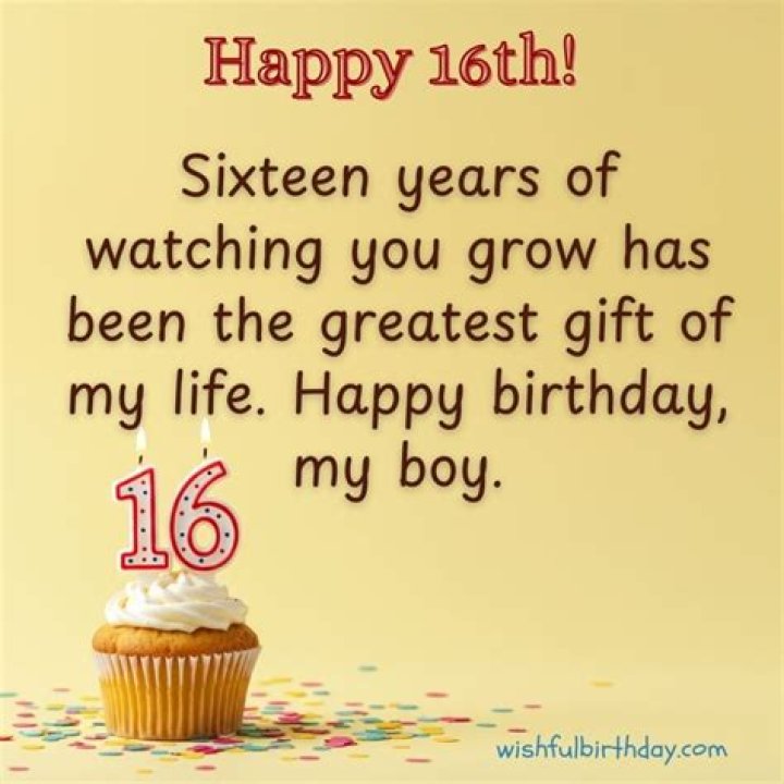Celebrating Liam's 16th Birthday: A Day to Remember