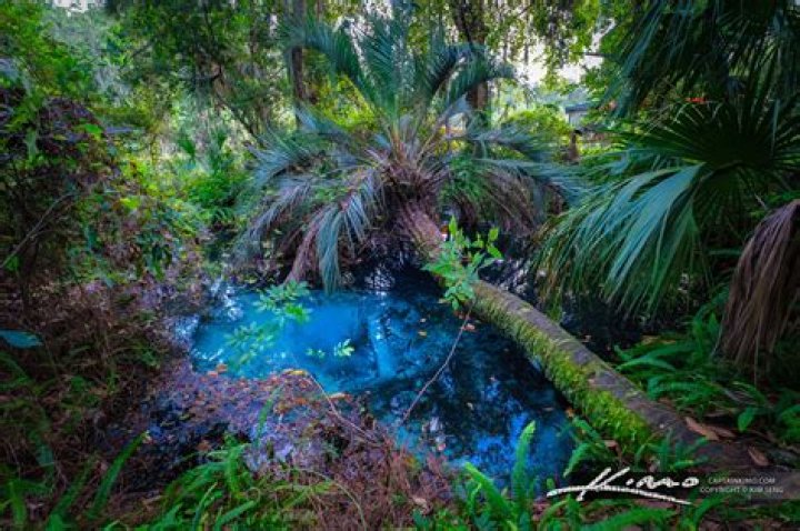 Enchanting Oasis: Discover the Hidden Gems of Serenity
